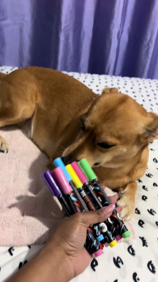 TikTok video thumbnail by itsshanada