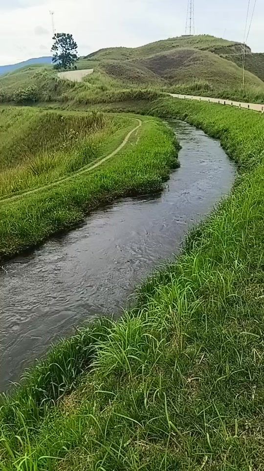 TikTok video thumbnail by coconuttree739