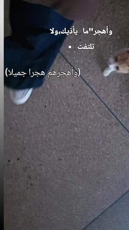TikTok video thumbnail by kh__a25