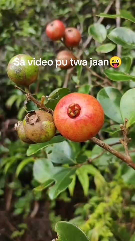 TikTok video thumbnail by niprinting