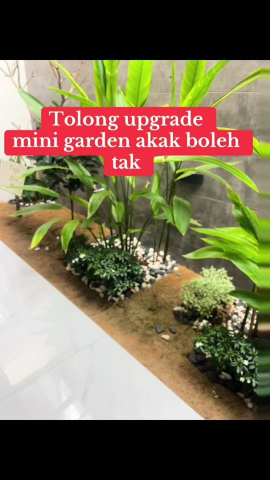 TikTok video thumbnail by thehutans