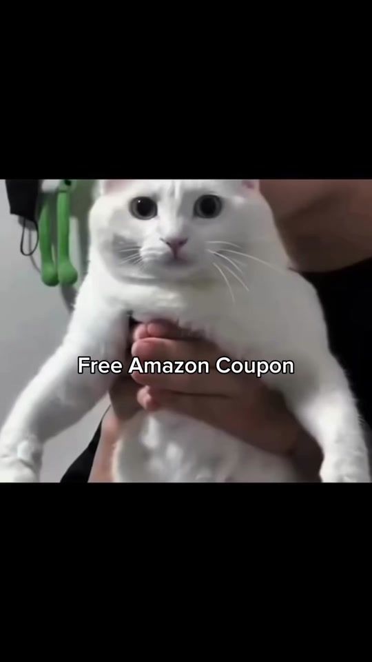 TikTok video thumbnail by letsdefend