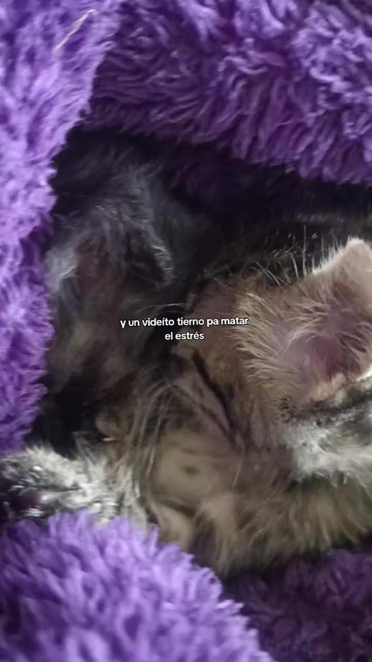TikTok video thumbnail by jes2007