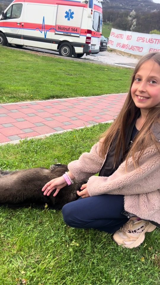 TikTok video thumbnail by cafferellax