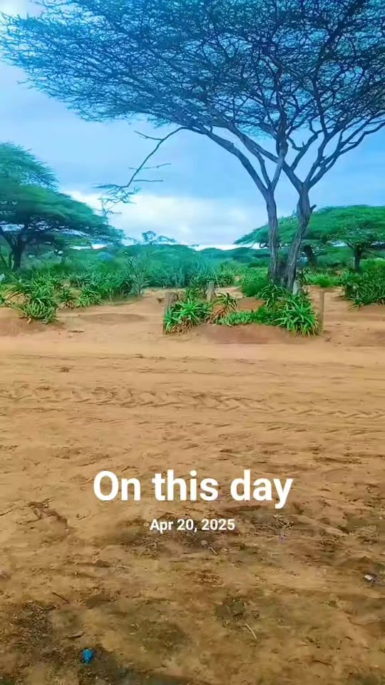TikTok video thumbnail by korneele90