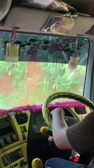 TikTok video thumbnail by saipat18