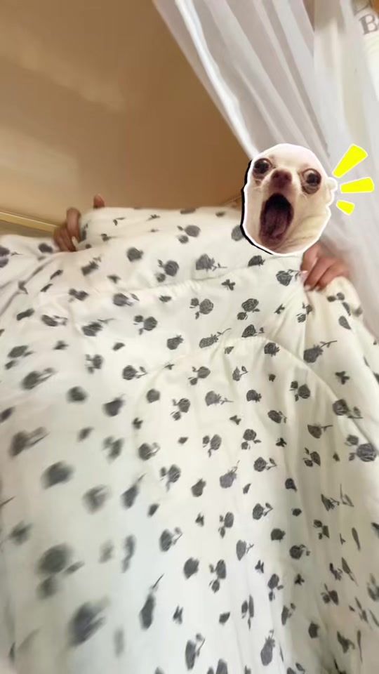 TikTok video thumbnail by thumni_