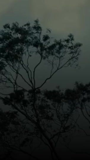 TikTok video thumbnail by legend_official01