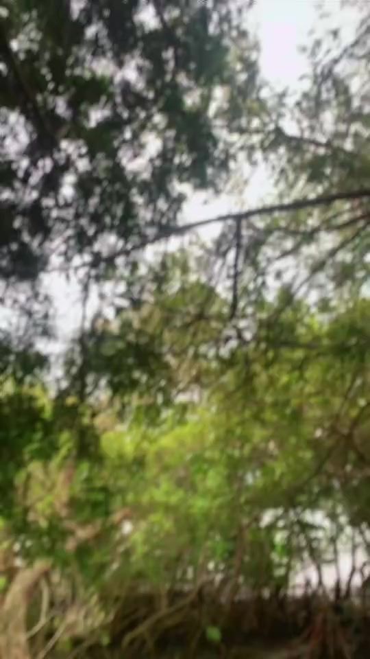 TikTok video thumbnail by yaaysyas_02