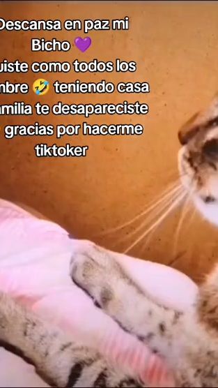 TikTok video thumbnail by maylu146