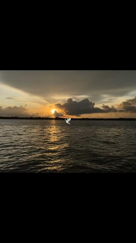 TikTok video thumbnail by lmcam_11