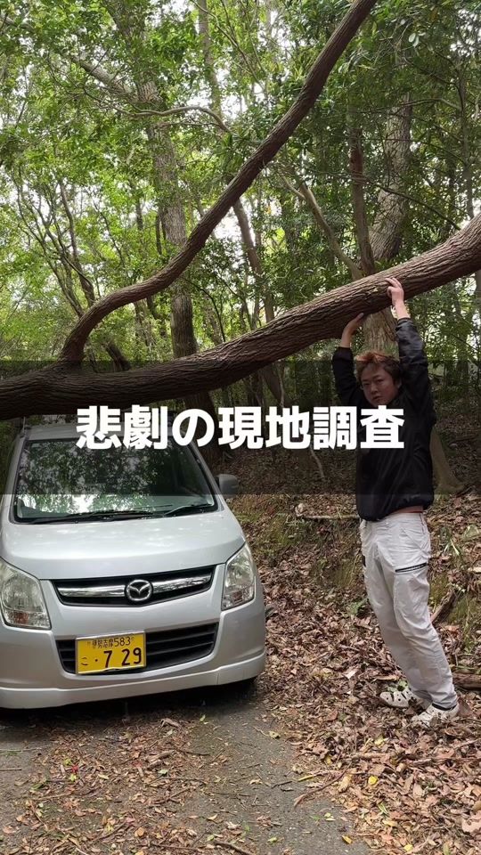 TikTok video thumbnail by gussan_35