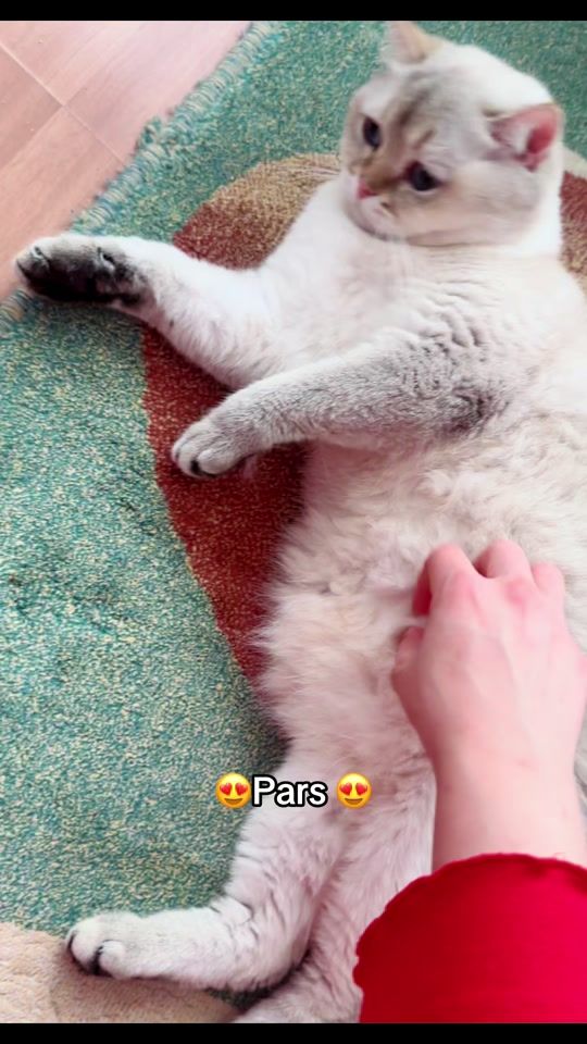 TikTok video thumbnail by iisude1