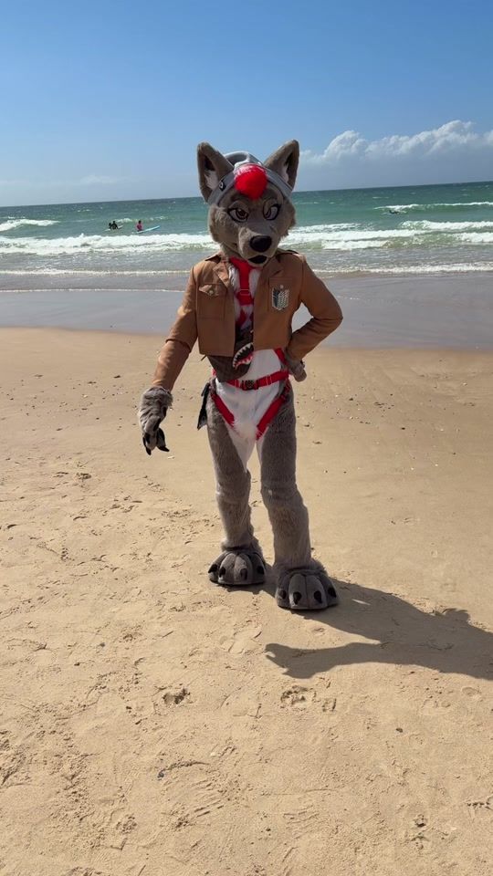 TikTok video thumbnail by deluxecanine