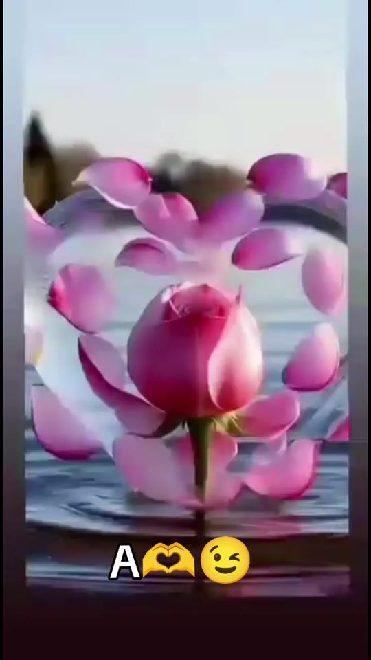 TikTok video thumbnail by _aytac_057_