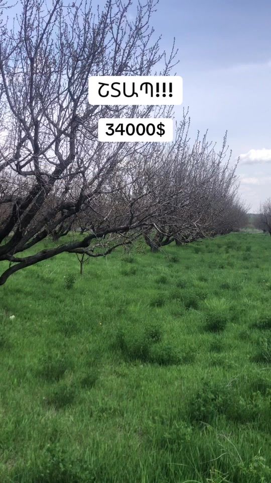 TikTok video thumbnail by afto_am