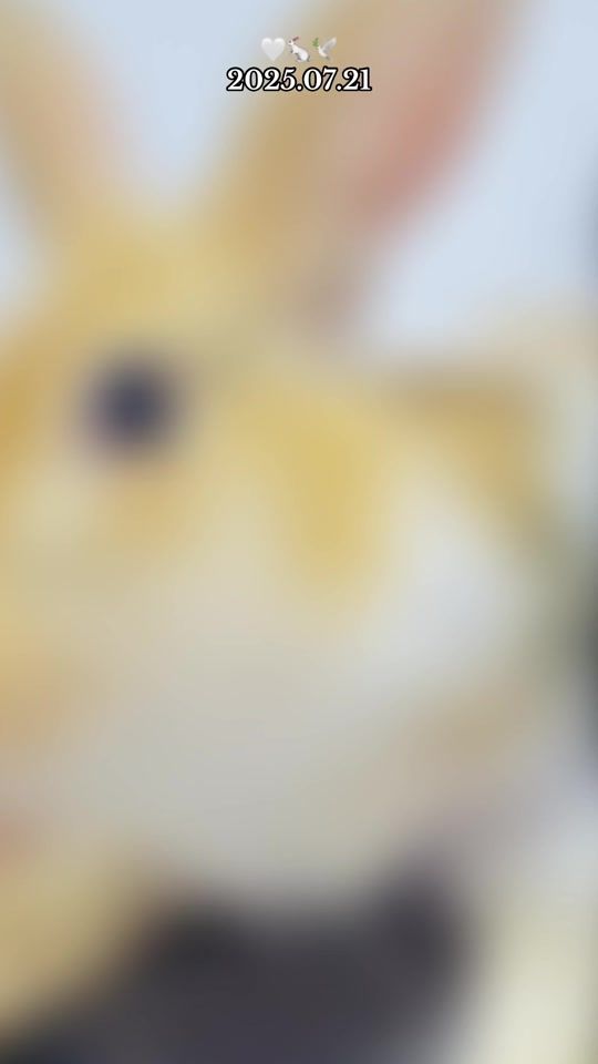 TikTok video thumbnail by madu_shani12
