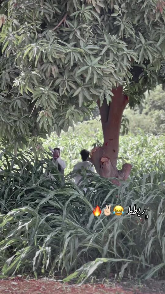 TikTok video thumbnail by oko.57