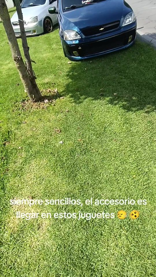 TikTok video thumbnail by oscarvolcom