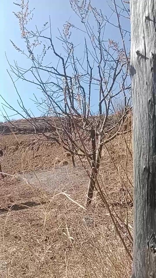 TikTok video thumbnail by solodg_official