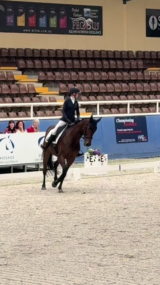 TikTok video thumbnail by es..eventing