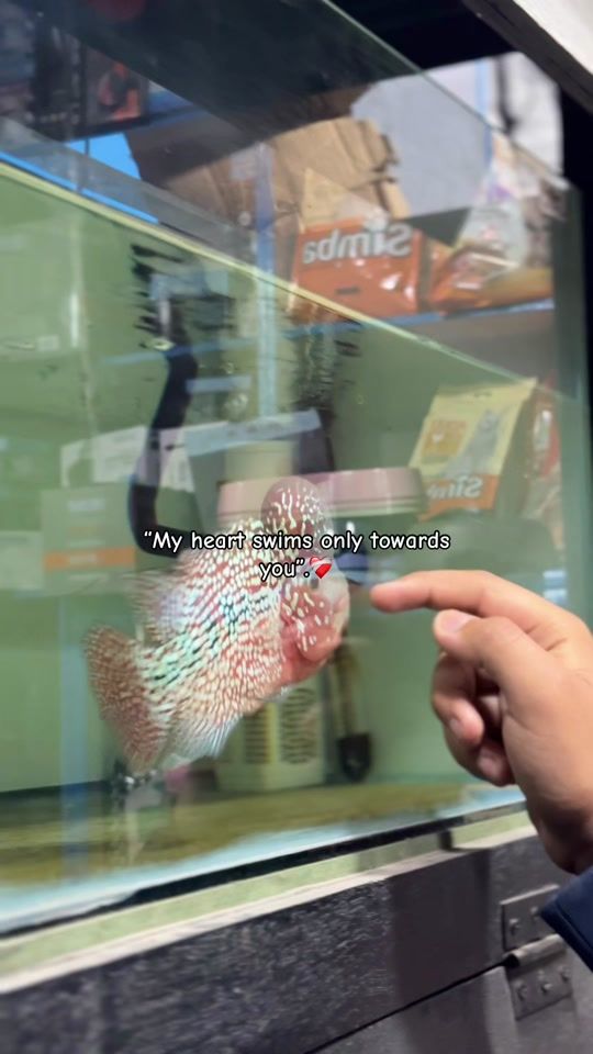 TikTok video thumbnail by rajesh_02.2