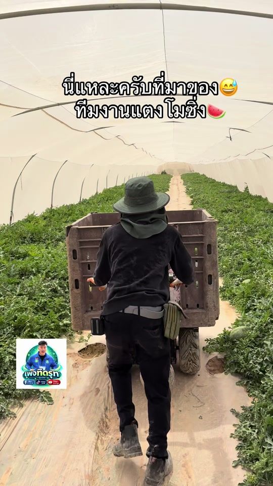 TikTok video thumbnail by rutonepeak