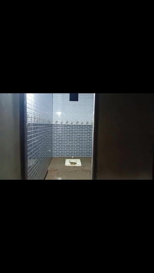 TikTok video thumbnail by mdshahed6969