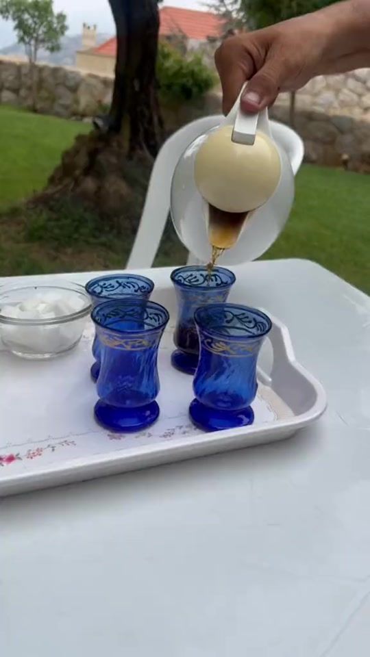 TikTok video thumbnail by tareksibai59