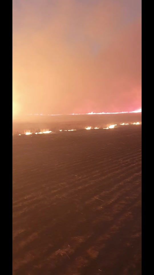 TikTok video thumbnail by farmer_phill