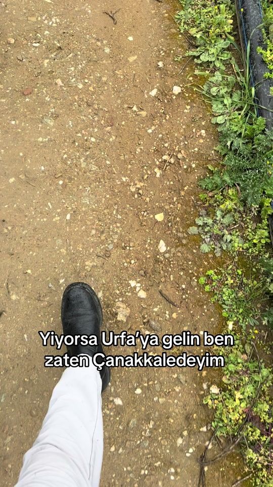 TikTok video thumbnail by m3mozbk1