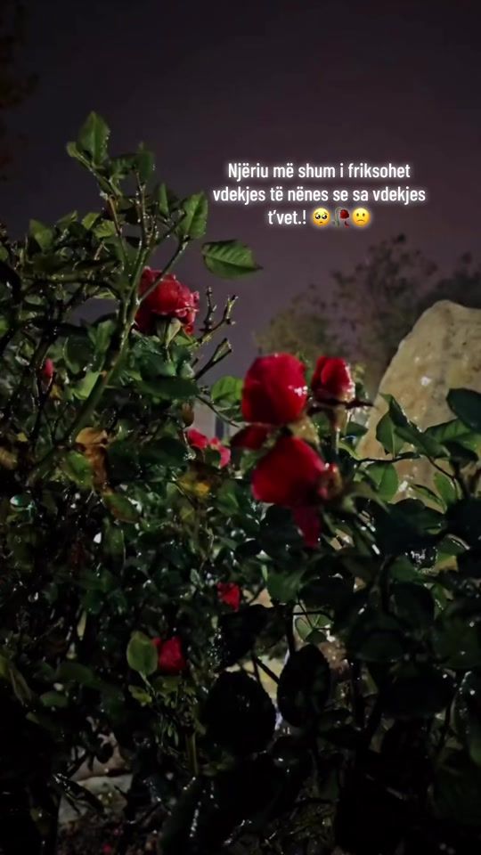 TikTok video thumbnail by lola1_35