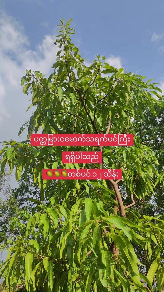 TikTok video thumbnail by thirizarzar1