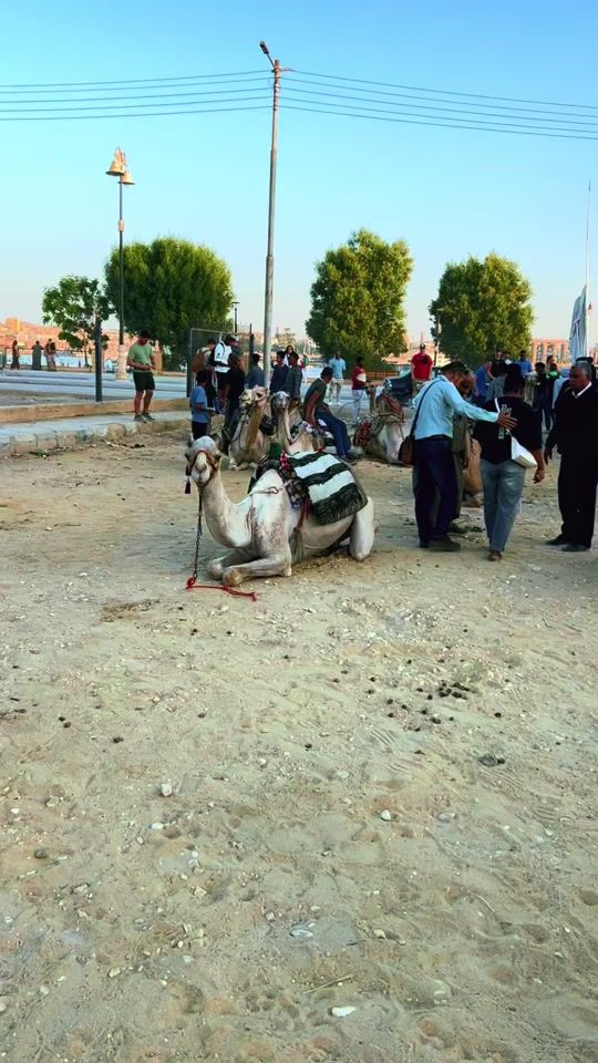 TikTok video thumbnail by mohammed_abdullatif