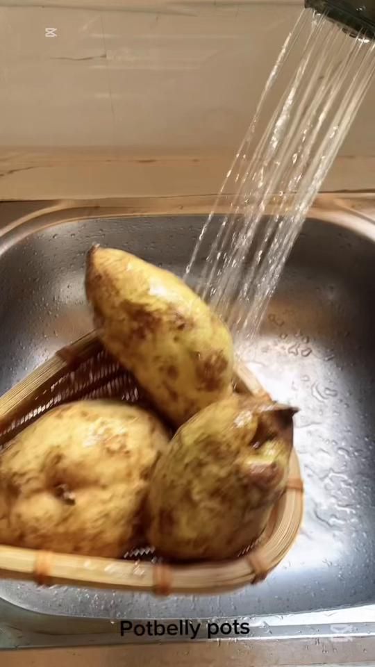 TikTok video thumbnail by potbellypots