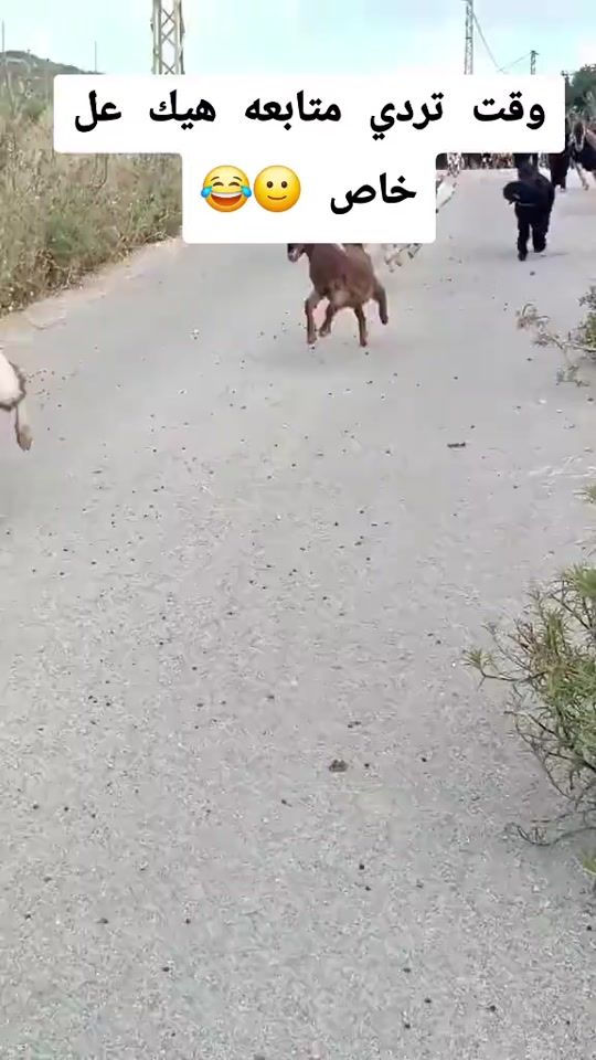 TikTok video thumbnail by rorod909