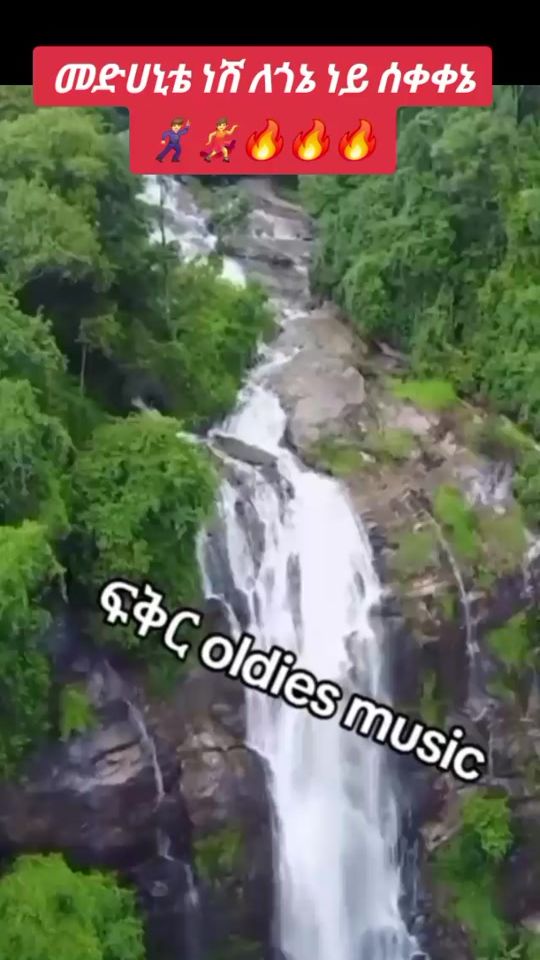 TikTok video thumbnail by fkir691