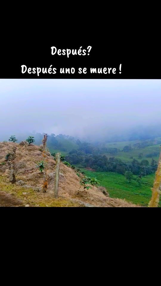TikTok video thumbnail by deisycatira