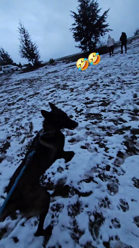 TikTok video thumbnail by etoo_perla_dz
