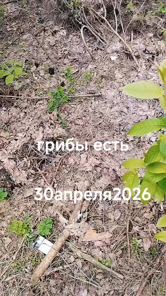 TikTok video thumbnail by vovalora