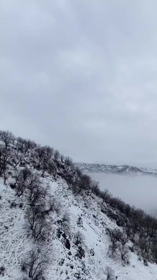 TikTok video thumbnail by xella_kingg