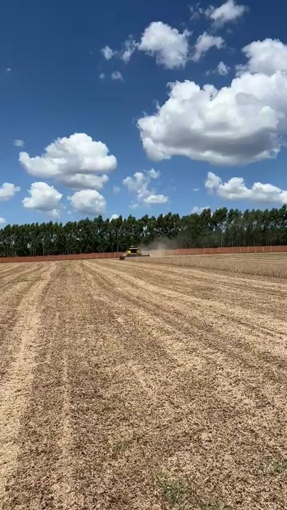 TikTok video thumbnail by alexi.sinker