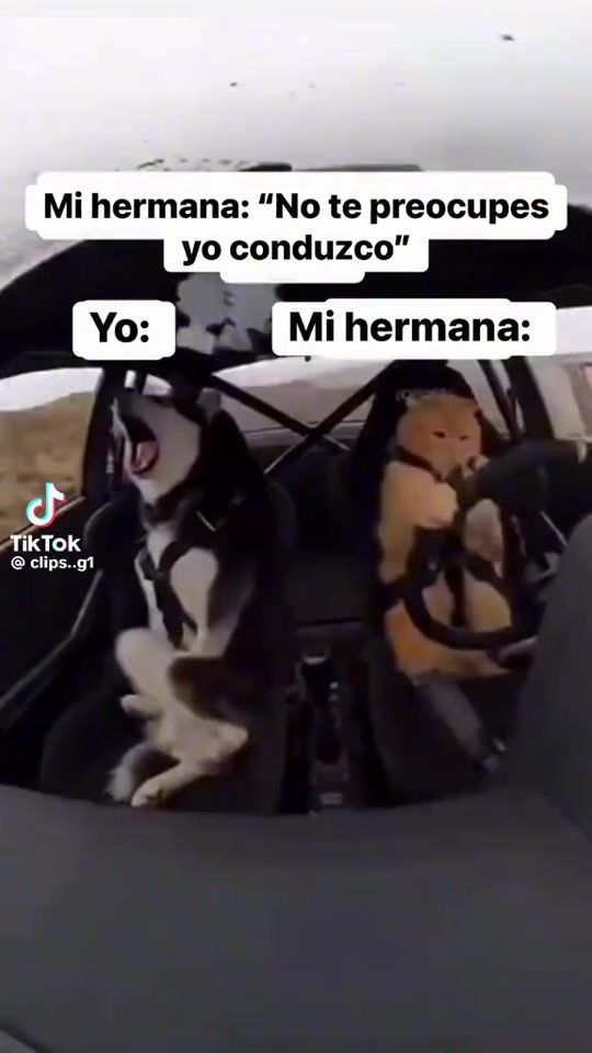 TikTok video thumbnail by yiretestrella