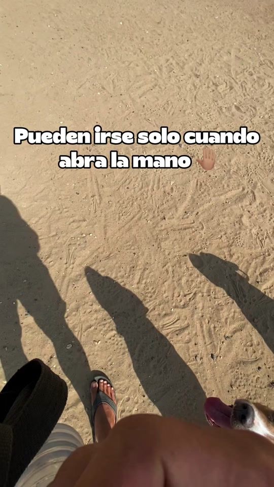 TikTok video thumbnail by tiger.pitbull