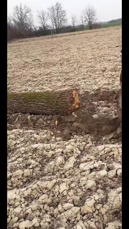 TikTok video thumbnail by uros_srb_