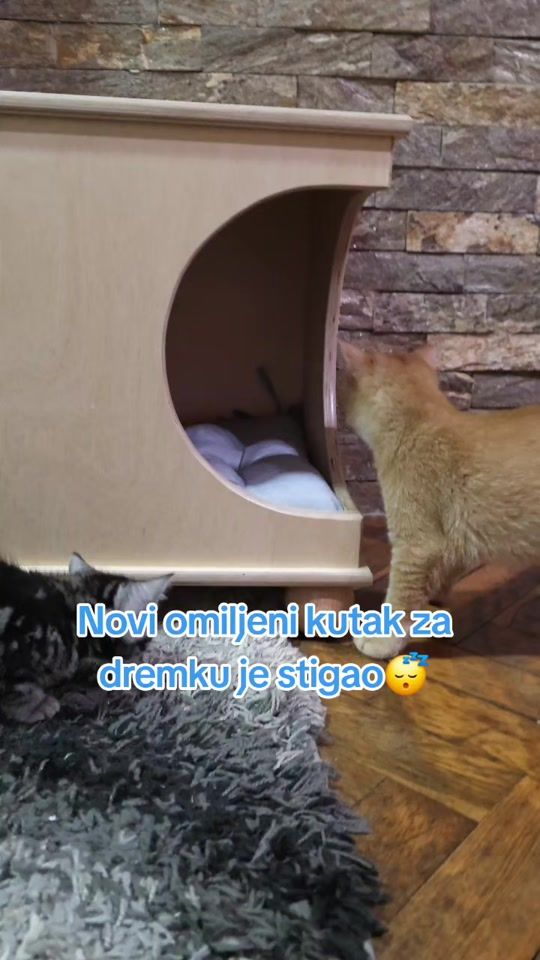 TikTok video thumbnail by britanskemacke