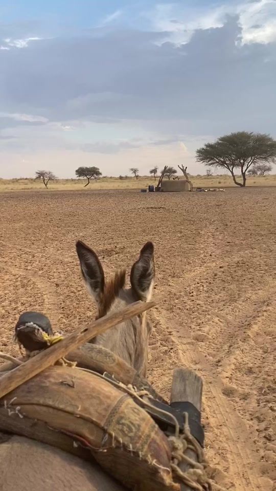 TikTok video thumbnail by elycheikhely11