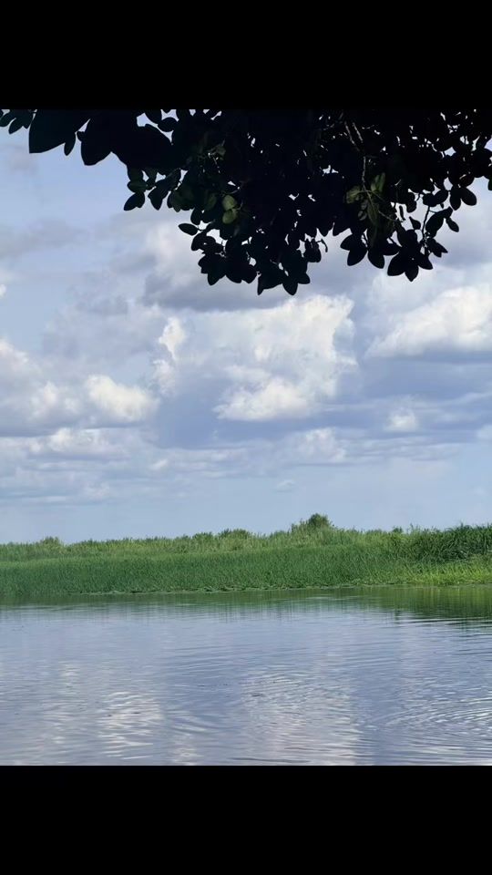 TikTok video thumbnail by malak_gual