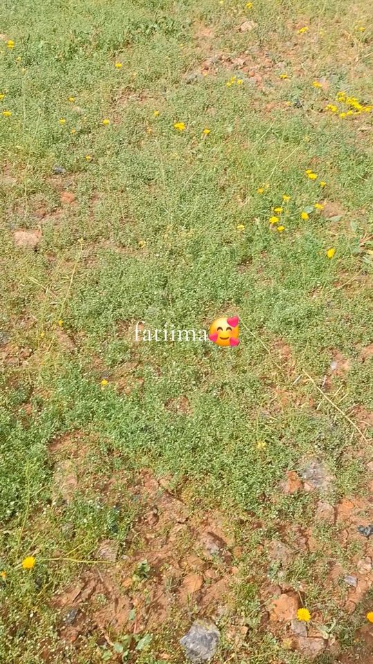 TikTok video thumbnail by fatima_fati_01