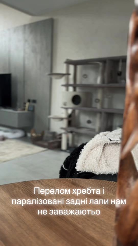 TikTok video thumbnail by mister.strike